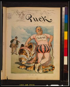 A tidy job; but - - J.S. Pughe. LCCN00650805