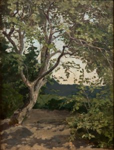 A Tree. Study (Anna Nordlander) - Nationalmuseum - 22305