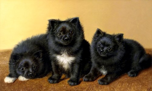 A trio of Pomeranians, by Horatio Henry Couldery