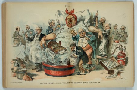 A very sick patient - he pays well, but the senaotrial quacks can't save him - F.M. Hutchins. LCCN2012648740