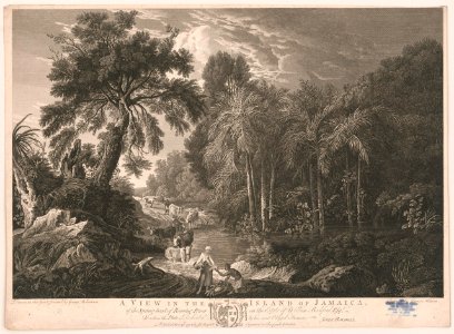 A view in the Island of Jamaica, of the spring-head of Roaring River on the estate of William Beckford esqr. - drawn on the spot, and painted by George Robertson ; engraved by James Mason. LCCN91727542. Free illustration for personal and commercial use.