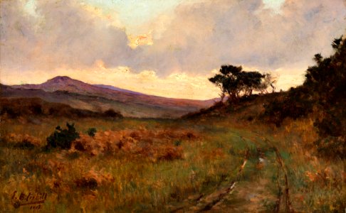 A View of Castletownshend, County Cork P4996