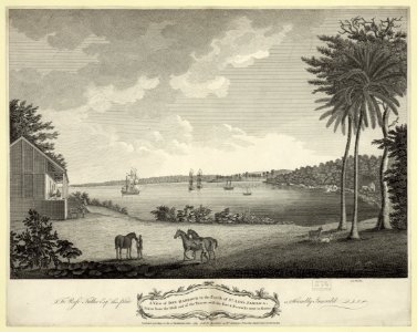 A view of Dry Harbour in the parish of St. Ann's Jamaica, taken from the West end of the tavern, with the fort and barracks now in ruins LCCN2004670565
