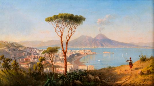 A View of Naples and Vesuvius