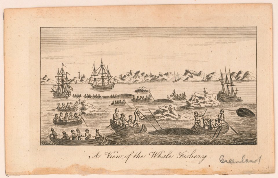 A view of the whale fishery LCCN2004669305