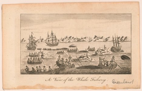 A view of the whale fishery LCCN2004669305