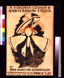 A Virginia Cousin & Bar Harbor Tales LCCN2006687110