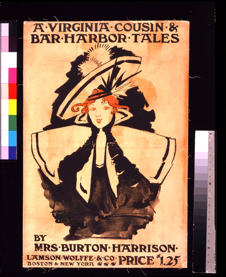 A Virginia Cousin & Bar Harbor Tales LCCN2006687110