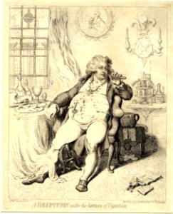 A voluptuary under the horrors of digestion (BM 1978,U.1996)