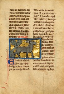 A Wild Donkey - Google Art Project