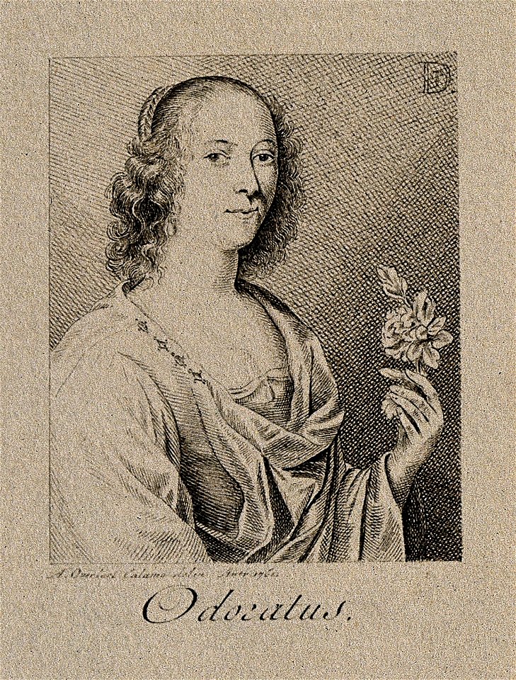 A woman with a flower; representing the sense of smell. Pen Wellcome V0007691EBL