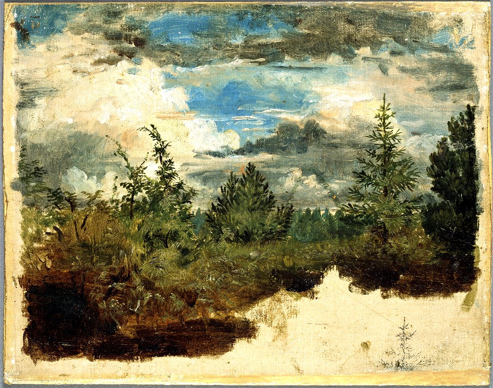 A Wooded Hillside. Study (Kilian Zoll) - Nationalmuseum - 20936