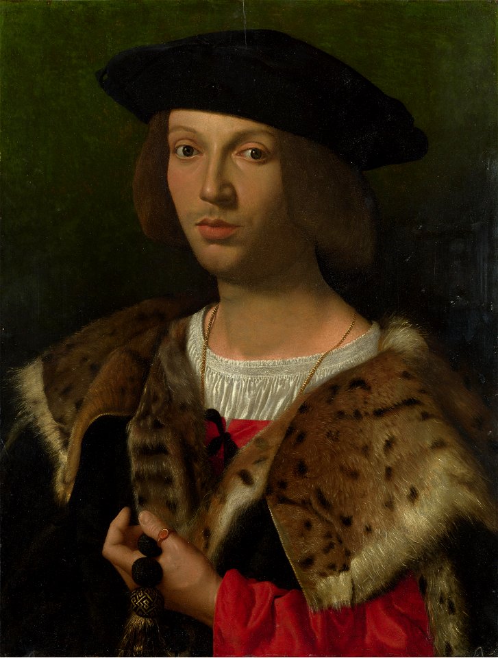 Italian Master - Portrait of a young man (1518). Free illustration for personal and commercial use.