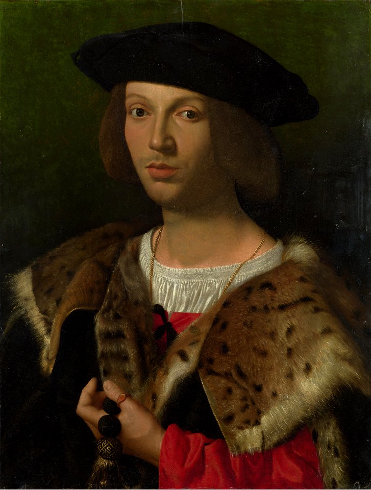 Italian Master - Portrait of a young man (1518)