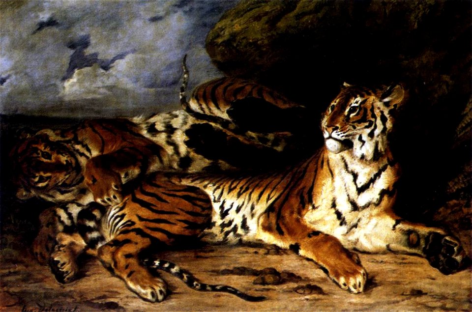 A Young Tiger Playing with its Mother