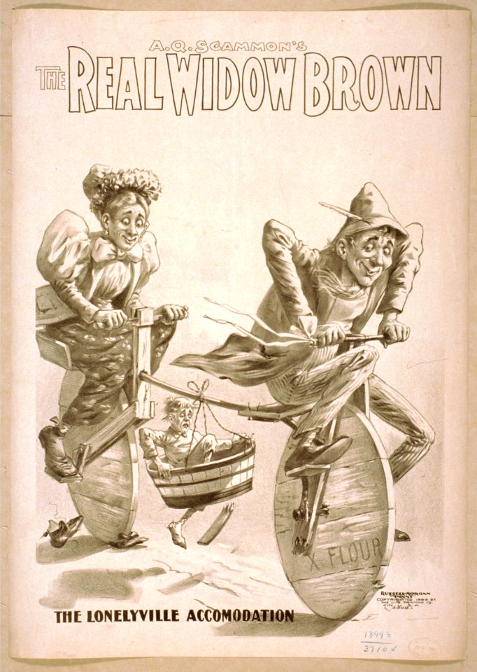 A.Q. Scammon's The real Widow Brown LCCN2014636534