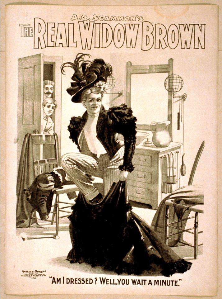 A.Q. Scammon's The real Widow Brown LCCN2014636533