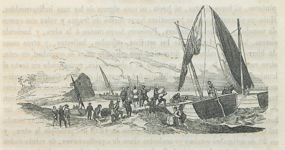 A055a161 0202