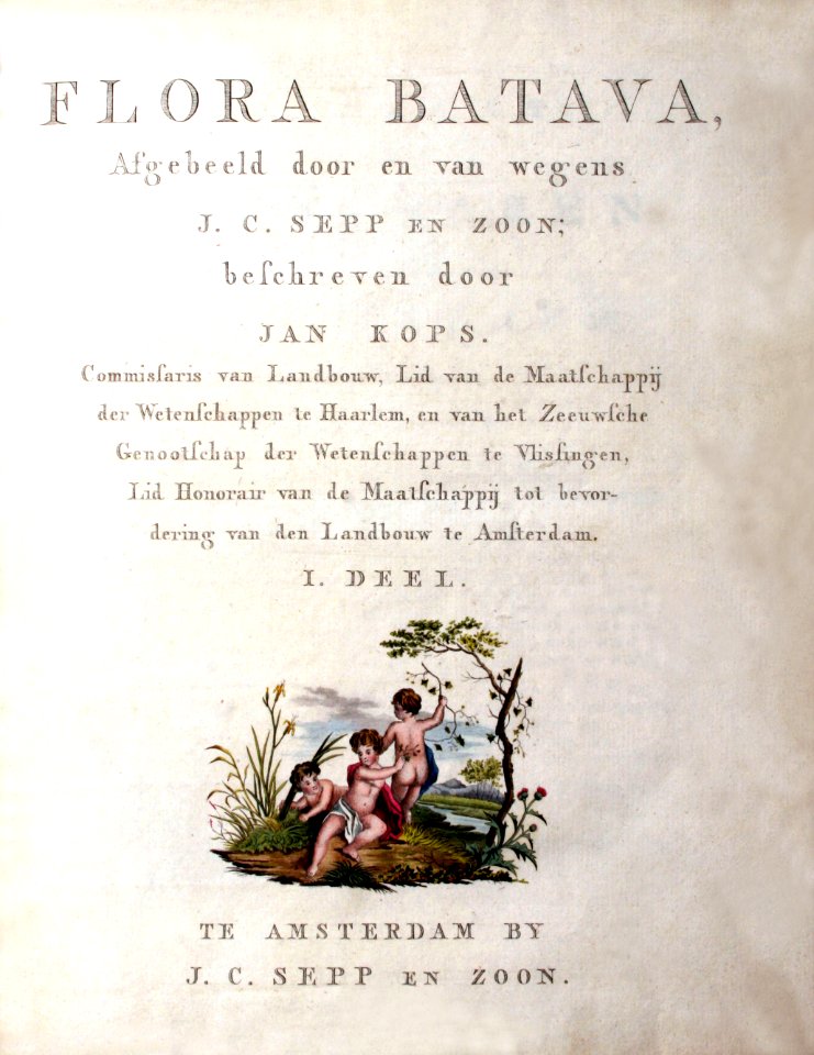 AA Jan Kops - Flora Batava, Volume 1 – title (1800)