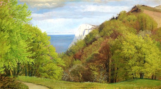 Carl Frederik Aagaard - Parti fra Møens Klint - 1861
