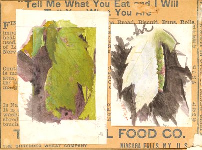 Abbott Handerson Thayer - Heterocampa Biundata, Walker, study for book Concealing Coloration in the Animal Kingdom - 1950.2.17A - Smithsonian American Art Museum