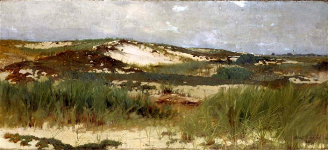 Abbott Handerson Thayer - Nantucket Sand Dune - 1981.62 - Smithsonian American Art Museum