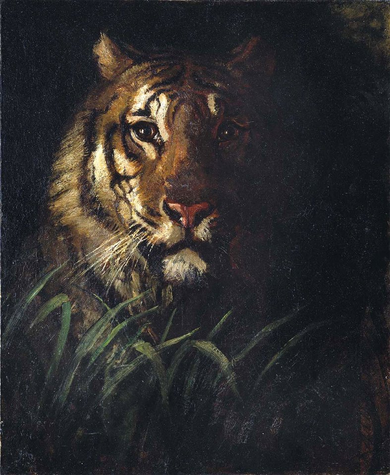 Abbott Handerson Thayer - Tiger's Head - 2000.50 - Smithsonian American Art Museum