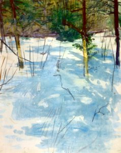 Abbott Handerson Thayer - Winter, Monadnock - 1929.6.133 - Smithsonian American Art Museum