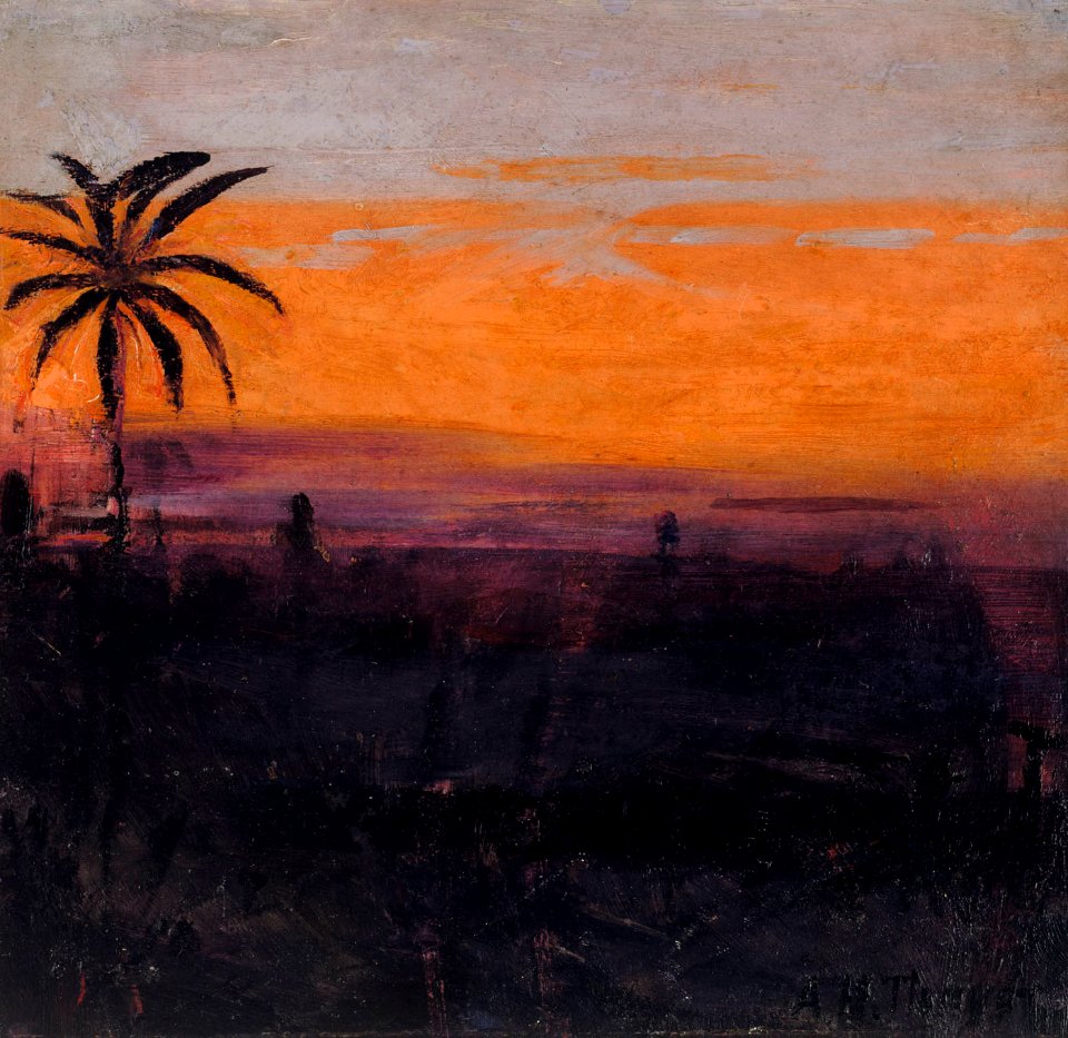 Abbott Handerson Thayer - The Sky Simulated by Red Flamingoes, study for book Concealing Coloration in the Animal Kingdom - 1950.2.2 - Smithsonian American Art Museum