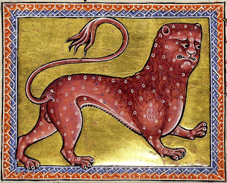 AberdeenBestiaryFolio008vLeopardDetail