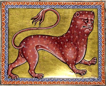 AberdeenBestiaryFolio008vLeopardDetail