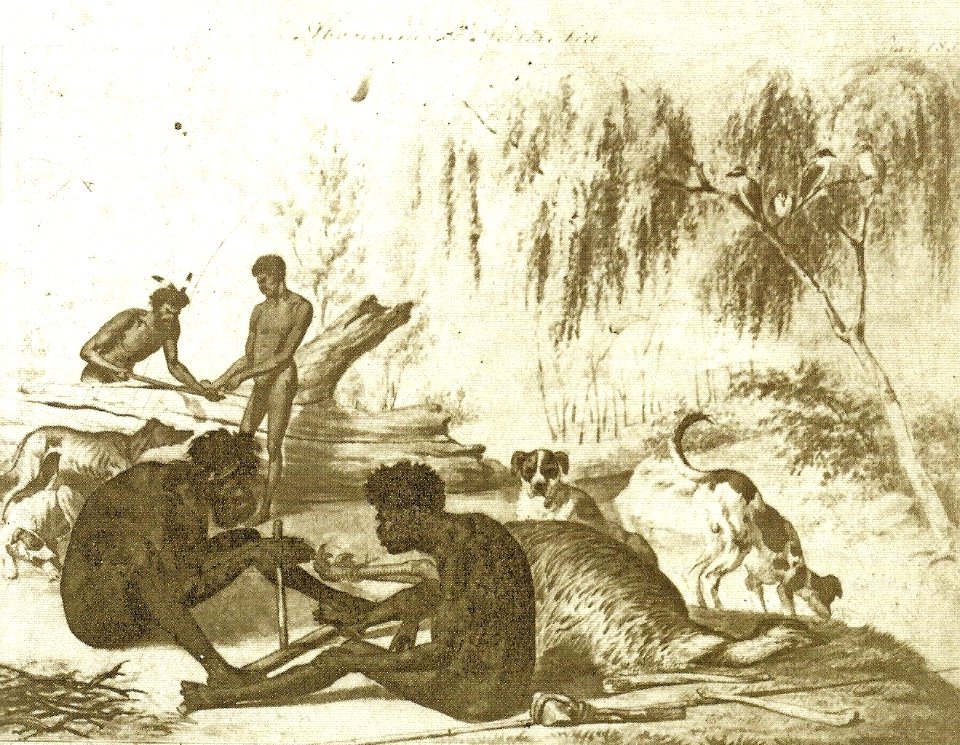 Aboriginal fire making