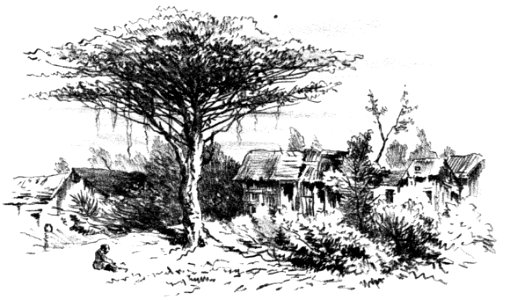 Abissinia, giornale di un viaggio di Pippo Vigoni, Milano, Hoepli, 1881 (page 77 crop)