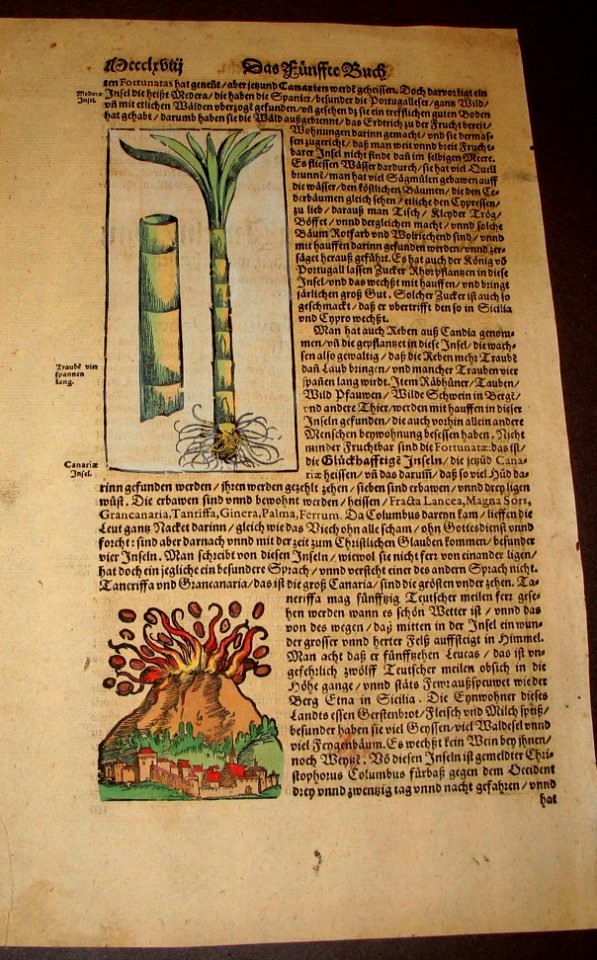 About the Canary Islands (1578). Free illustration for personal and commercial use.