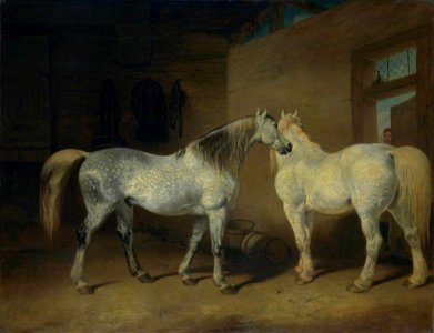 Abraham Cooper (1787-1868) - Draught Horses - N05977 - National Gallery