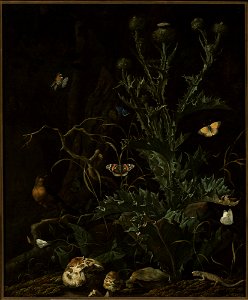 Abraham Begeyn - Thistles, butterflies and a lizard - M.Ob.1999 MNW - National Museum in Warsaw