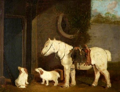 Abraham Cooper (1787-1868) (after) - 'Scrub', a Shooting Pony Aged 30, and Two Clumber Spaniels - 732325 - National Trust