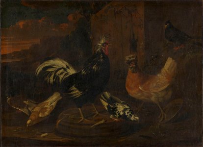 Abraham de Haen (I) - Høns og duer - NG.M.00117 - National Museum of Art, Architecture and Design