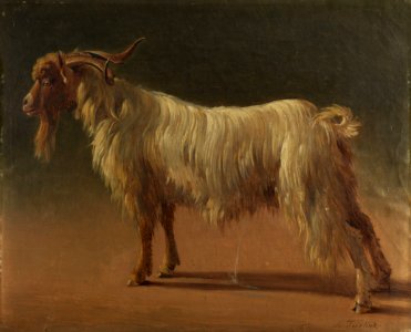Abraham Teerlink Urinating ram. Free illustration for personal and commercial use.