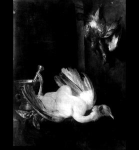Abraham van Beijeren - Stilleven met dode vogels - 1910-X - Museum of Fine Arts