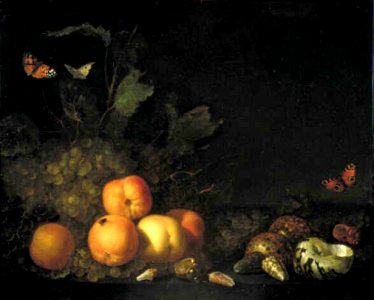 Abraham van Calraet - Stilleven met vruchten en schelpen - 1393 (OK) - Museum Boijmans Van Beuningen