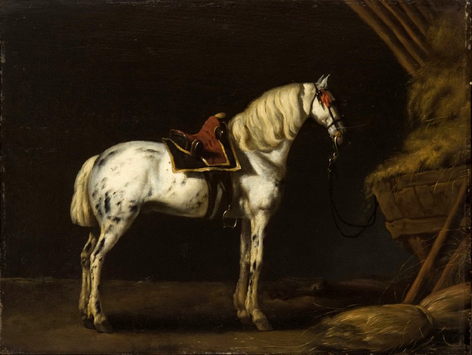 Abraham van Calraet follower - White Horse in a Stable E1924-3-91