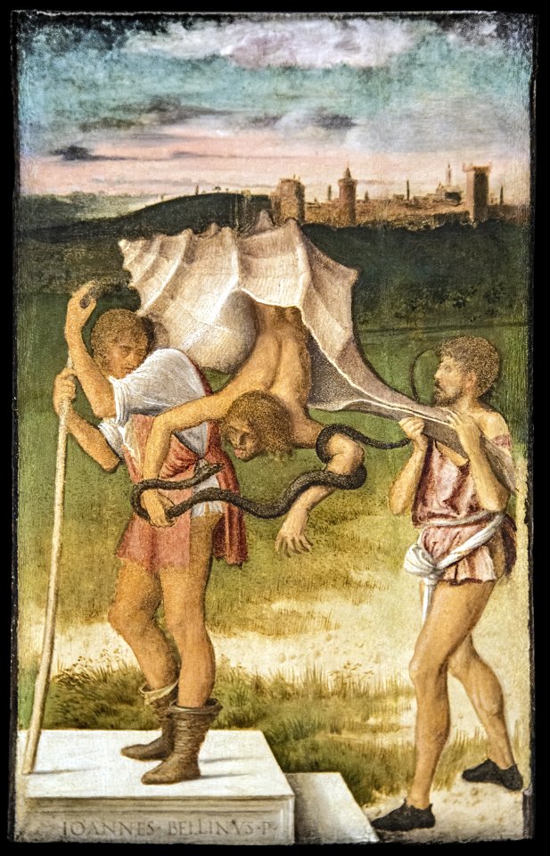 Accademia - Giovanni Bellini e Andrea Previtali - Quattro allegorie - menzogna