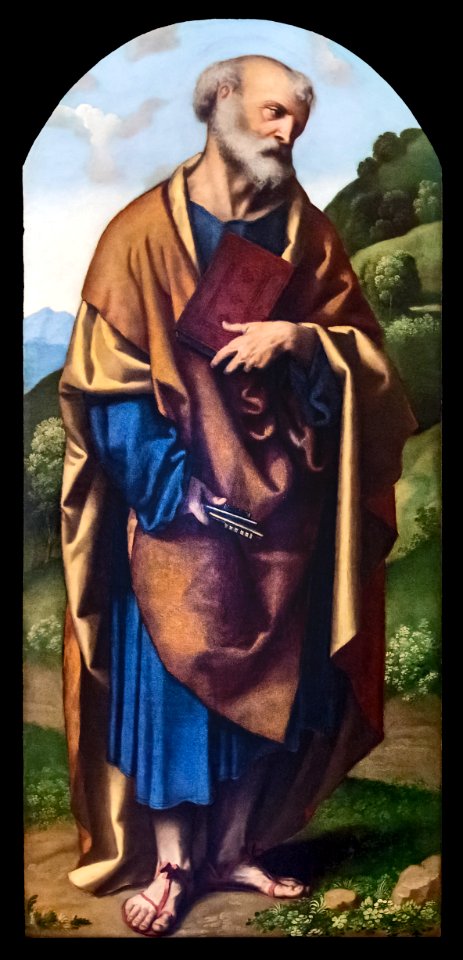 Accademia - San Pietro di Alessandro Bonvicino detto il Moretto Cat.332