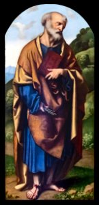 Accademia - San Pietro di Alessandro Bonvicino detto il Moretto Cat.332