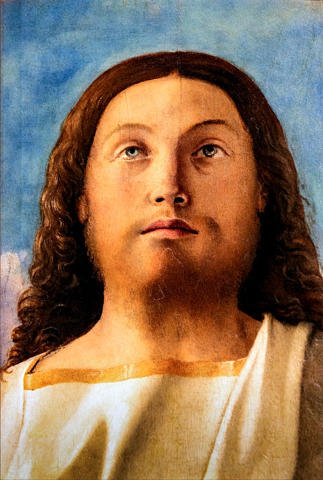 Accademia - Trasfigurazione (frammenti) - Giovanni Bellini