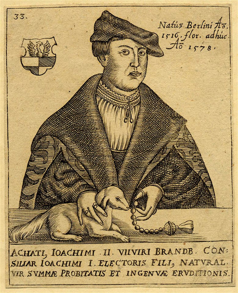 Achati, Ioachimi II. viiviri Brandb. consiliar Ioachimi I. electrois fili, natural. vir summae probitatis et ingenuae eruditionis