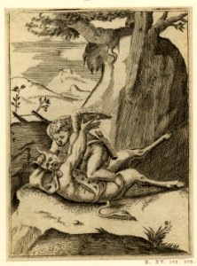 Achillis Bocchii Bonon. symbolicarum quaestionum de Universo genere quas serio ludebat (Emblems of Achilles Bocchius.) (BM H,5.37)