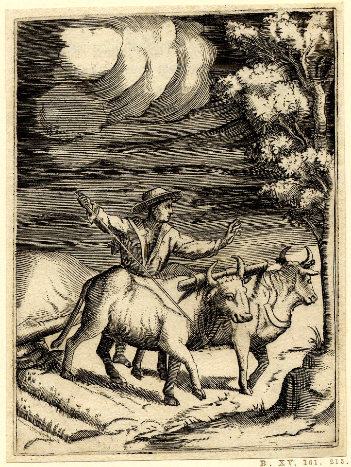 Achillis Bocchii Bonon. symbolicarum quaestionum de Universo genere quas serio ludebat (Emblems of Achilles Bocchius.) (BM H,4.125)