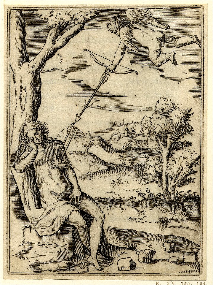 Achillis Bocchii Bonon. symbolicarum quaestionum de Universo genere quas serio ludebat (The Emblems of Achilles Bocchius) (BM H,4.94)